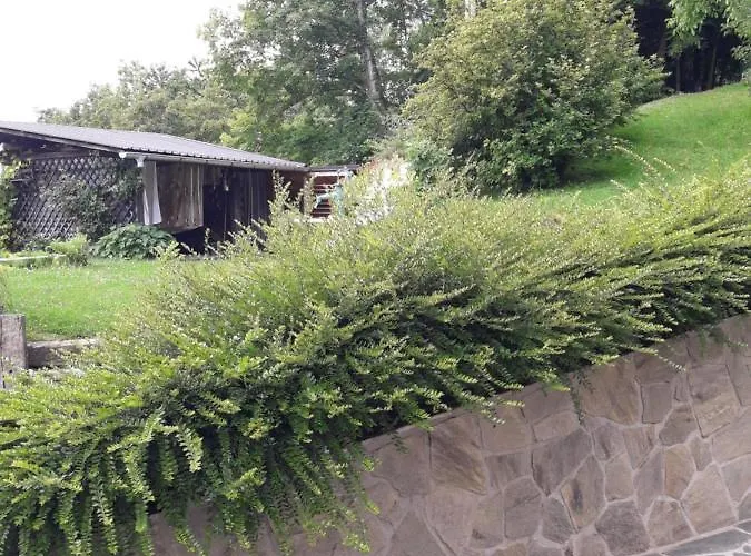 Sirovnik * Begunje na Gorenjskem